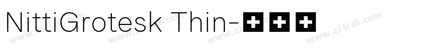 NittiGrotesk Thin字体转换